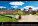 All About Nature - N262-27_007 - variant He N262-27