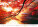 Kalendář New Horizons - N135-27_011 - variant He N135-27