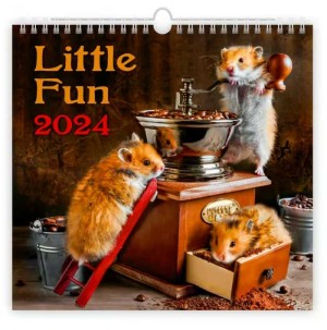 Kalendář Little Fun - Reklamnepredmety