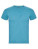 RY6660 Fox T-Shirt - RY6660_Heather-Turquoise-246 - variant Ls 1000284654