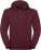 Pánská authentic mikina s kapucí - CD102C73-5DDF-49B5-9B20-49DC3F35E0C8 - variant CC 10263Mo0200