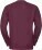 Mikina s kulatým výstřihem - ps-10762m-russell-athletic-762m-burgundy-back-c5afdcd7-c7b5-4fe2-8222-bcc205534d29-web - variant 