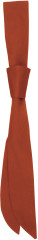 Pracovní kravata - 5C69B164-DF6A-4555-BD89-95C00AD47EBC - variant CC 38AK0345599