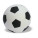 GOAL - kc2718_33 - variant Mo KC2718-33