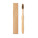 DENTOBRUSH - MO9877_03 - variant Mo MO9877-03
