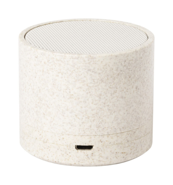 Cayren bluetooth reproduktor