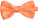 Motýlek - 41F978C1-9573-487E-9DD1-9DB5034BBB5F - variant CC 76BTIE23599
