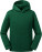 Dětská mikina authentic s kapucí - 8BD705B7-5767-47E1-9EB4-F4A841C4AD11 - variant CC 10265B540a3